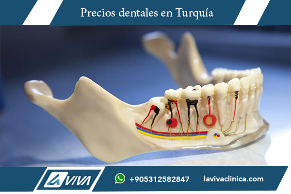 implante dental completo precio , cuánto cuesta un implante dental , costo de implantes dentales en Turquía , precio de implantes dentales en España , implantes dentales materiales , cuánto vale un implante dental , implantes dentales calidad , precio de un implante dental en Turquía , implantes dentales zirconio , implantes dentales opiniones , tratamientos dentales en Turquía , implantes dentales , precio implantes dentales , tratamientos dentales , odontología estética , turismo dental , salud bucal , implantes dentales Turquía , clínica dental , implantes de titanio , experiencias dentales , Istanbul International Aesthetic Center , ¿cuánto cuesta un implante dental completo? , ¿cuál es el mejor material para implantes dentales? , ¿son los implantes dentales dolorosos? , ¿qué incluye un implante dental completo? , ¿es Turquía un buen lugar para implantes dentales? , ¿cuánto cuesta un implante dental en Turquía? , ¿cómo elegir una clínica dental adecuada? , ¿es seguro viajar a Turquía por implantes dentales?